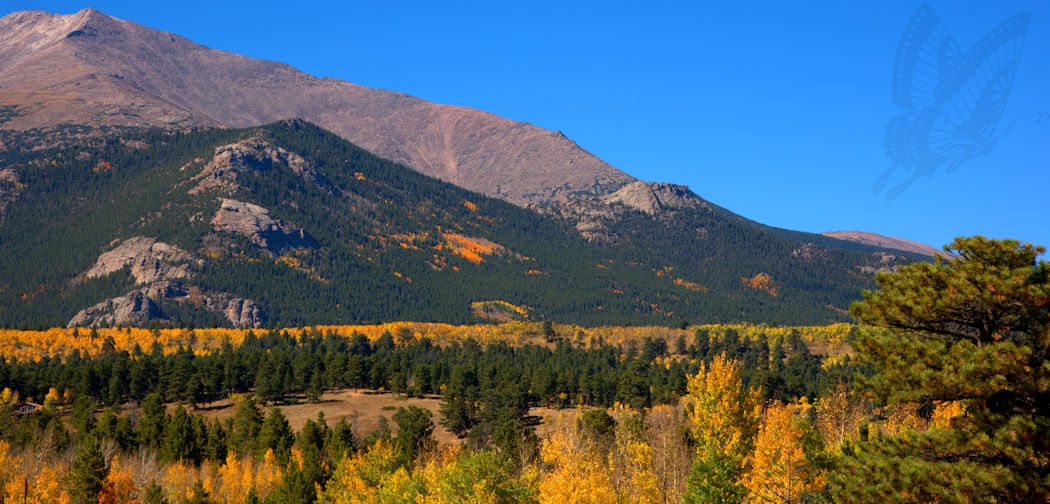 Colorado Mountain View